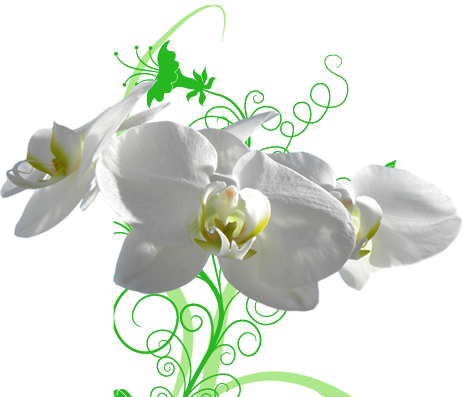 creation site Internet cadeau parrainage